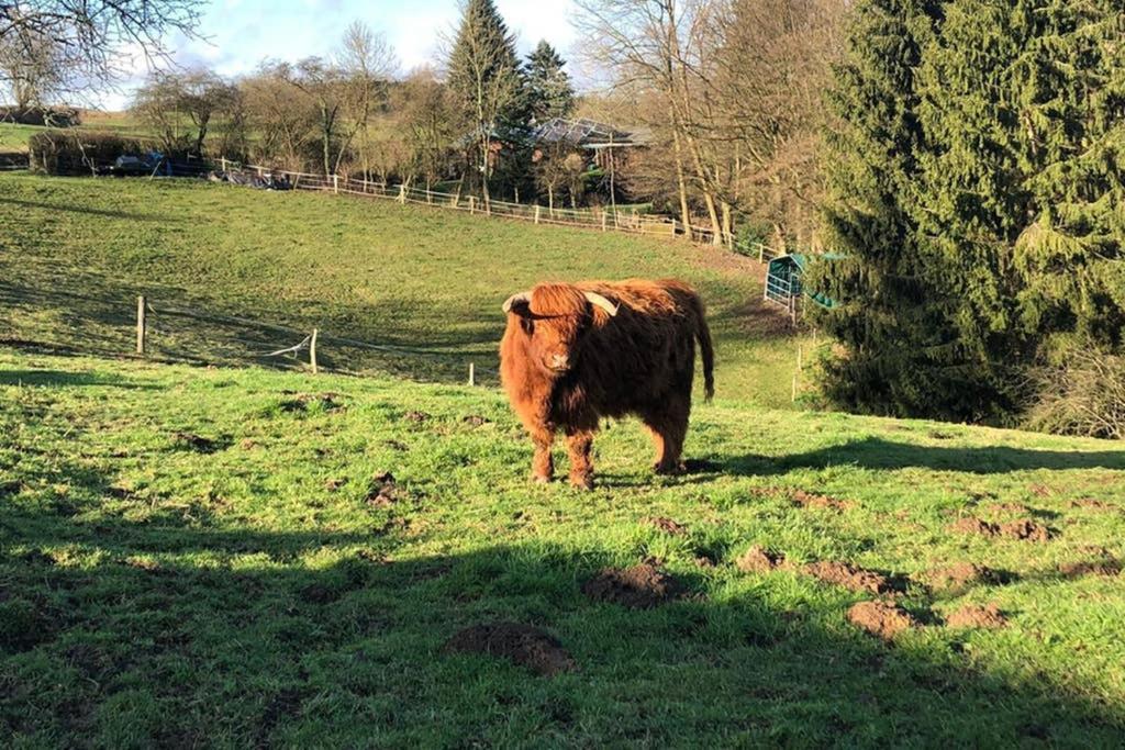 Ferienwohnung Und Monteurwohnung Matthies Naehe Koeln 30Km Kürten Zewnętrze zdjęcie